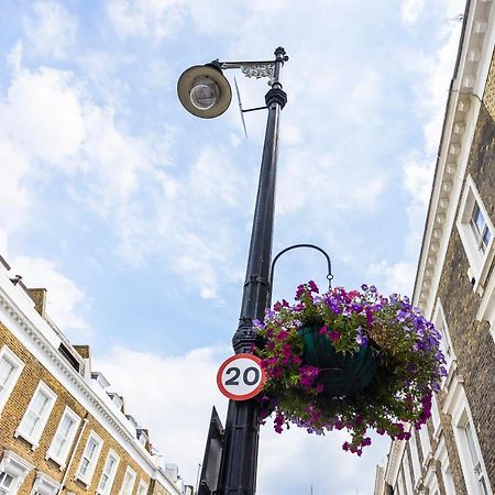 Pimlico Hub 호텔 런던 외부 사진